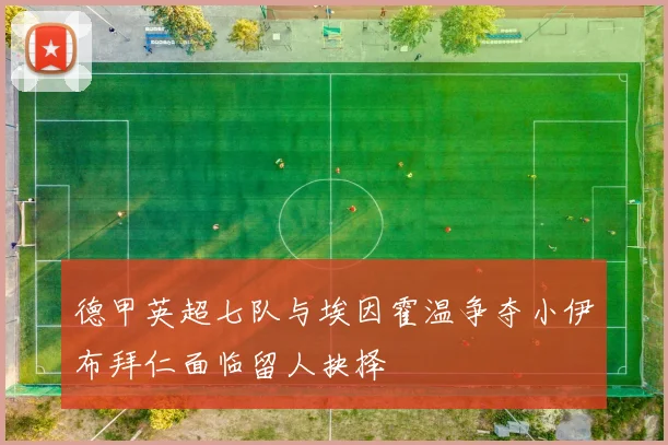 德甲英超七队与埃因霍温争夺小伊布拜仁面临留人抉择