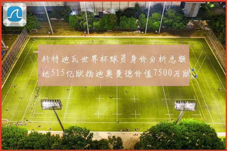 科特迪瓦世界杯球员身价分析总额达515亿欧扬迪奥曼德价值7500万欧