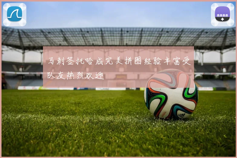马刺签托哈成完美拼图经验丰富受队友热烈欢迎
